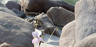 Confidence in Uncertainty