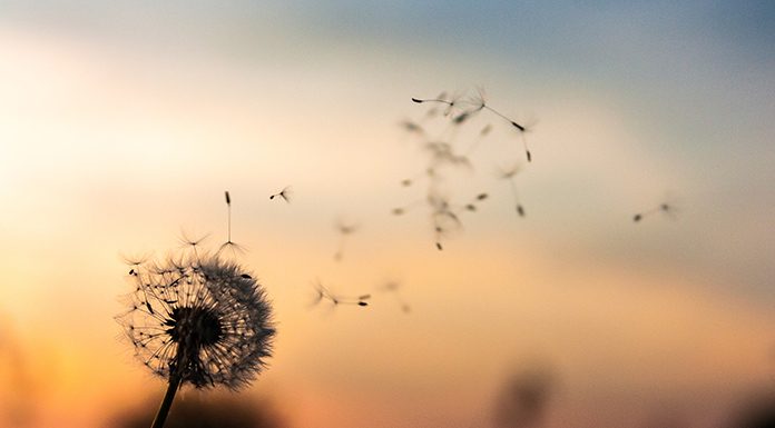 The Illusion of Need The Illusion of Need